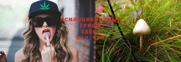 прущие крисы Вяземский