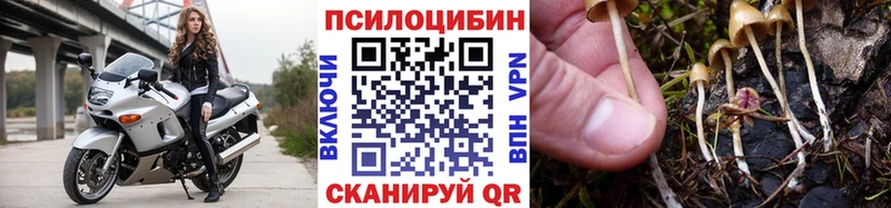 Псилоцибиновые грибы мицелий  ОМГ ОМГ ссылки  Зуевка 